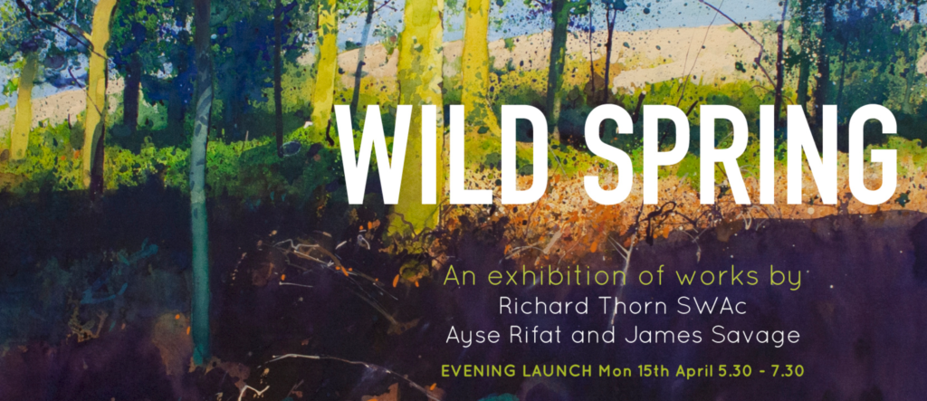 Wild Spring advert for Tidal Gallery